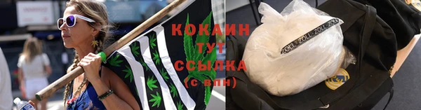 трава Алзамай