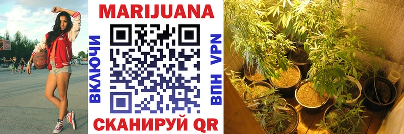 Марихуана SATIVA & INDICA  где купить наркоту  Камбарка 